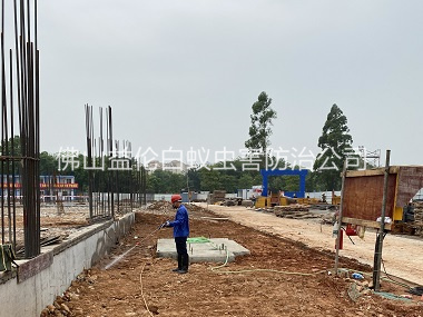 禅城区地基防白蚁工程